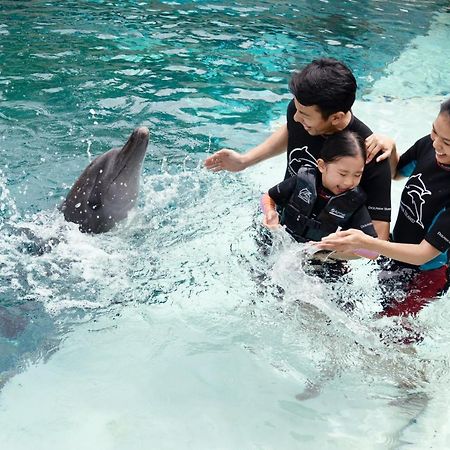 Resorts World Sentosa - Hotel Szingapúr Kültér fotó Dolphin Interaction