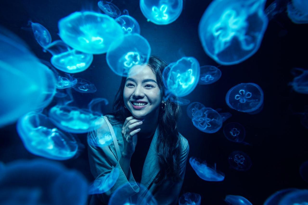 Resorts World Sentosa - Hotel Szingapúr Kültér fotó A visitor at the aquarium