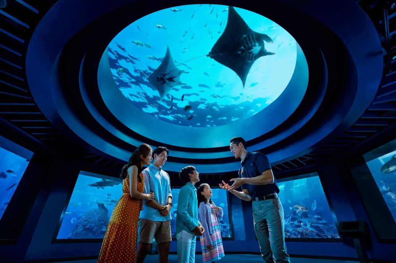 Resorts World Sentosa - Hotel Szingapúr Kültér fotó The Lost Chambers Aquarium
