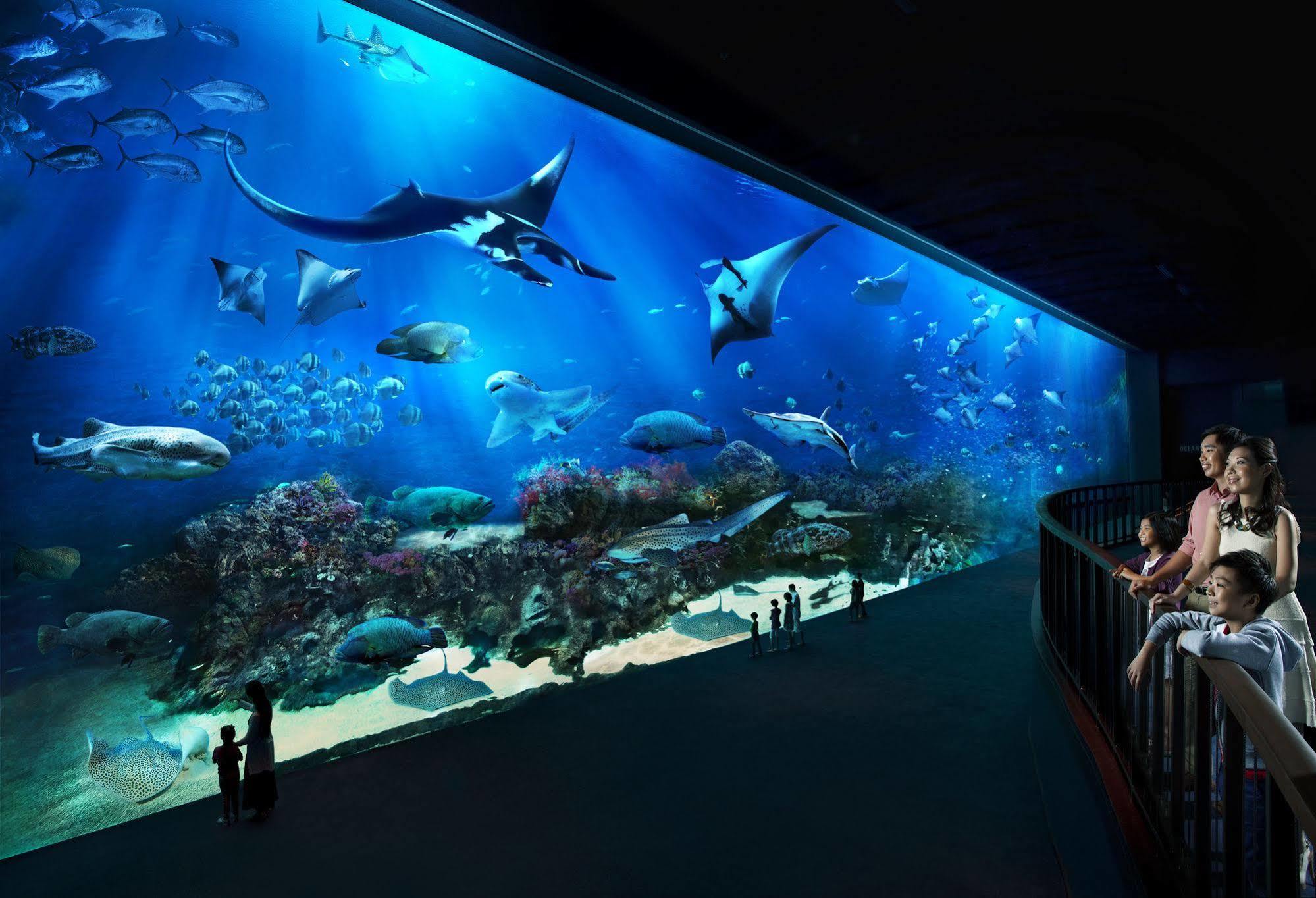 Resorts World Sentosa - Hotel Szingapúr Kültér fotó The open ocean exhibit